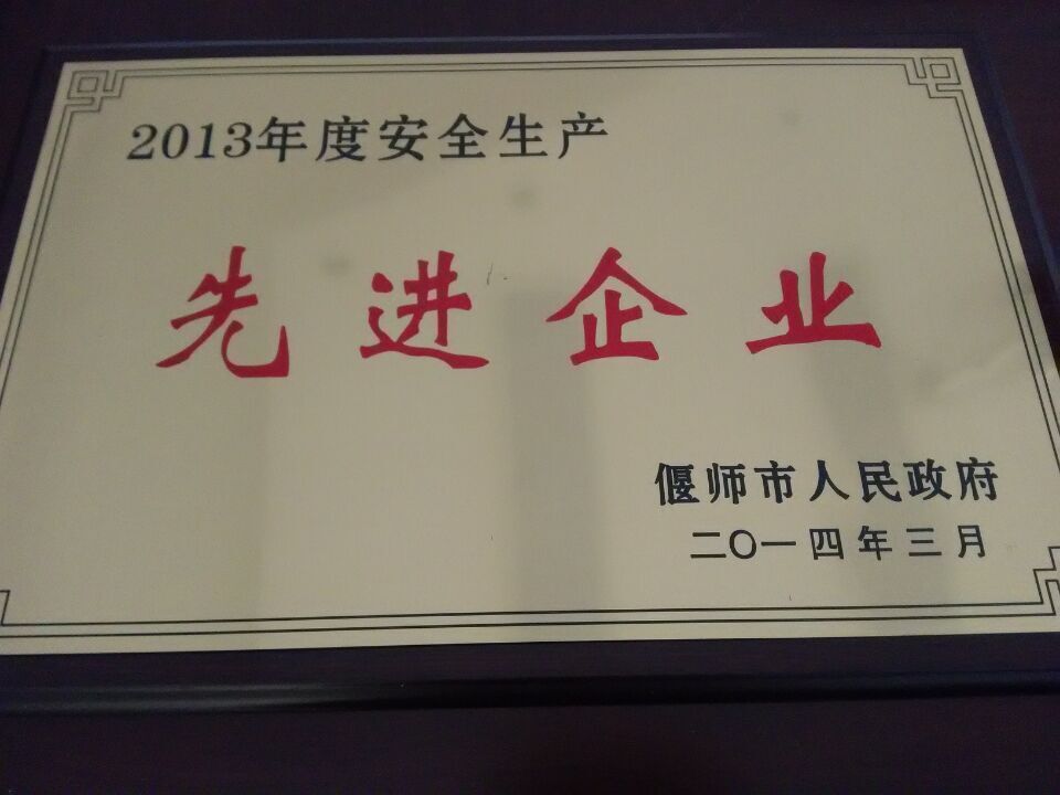 2013年先進企業(yè)